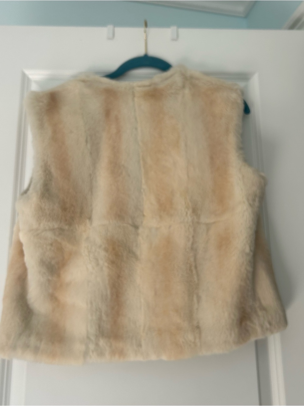 Beige Rabbit Fur Vest - Plush Sleeveless Jacket - Picture 4 of 4